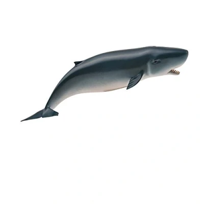 Image of CollectA Pygmy Sperm Whale