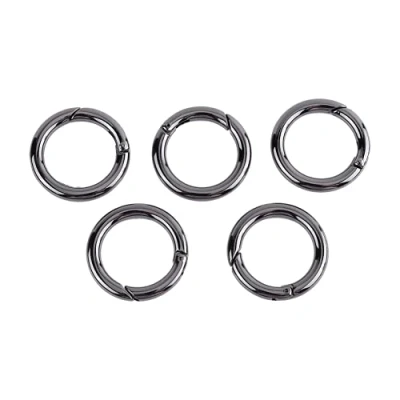 Image of 5PCS/Bag Zinc Alloy Round Carabiner Gate Rings Spring O Snap Clip Keyring Hook for Bags, Purses, Keychain, Camping Hiking