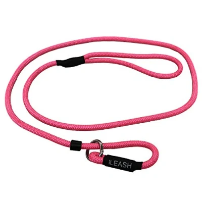 Image of Chameleon Strong Nylon Dog Pet Lead Training Leash 1.2m 120cm 47.2&quot; (1cm, Pink)