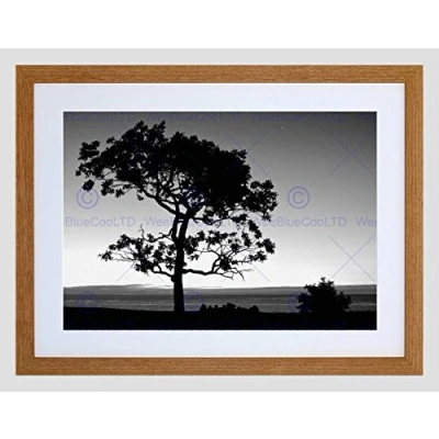 Image of Wee Blue Coo Black White Tree Silhouette Landscape Home Framed Wall Art Print