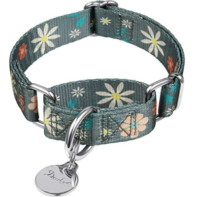 Image of Dazzber Martingale Collars for Dogs Soft Adjustable Dog Collar, Durable D ring Heavy Duty, Choke Collar Large Medium Small (large, Warm Grey and Elegant Flower)
