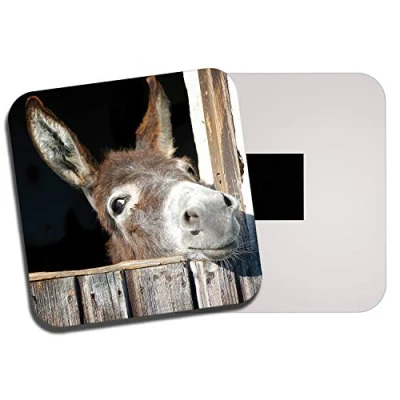 Image of 1 x Cheeky Donkey Fridge Magnet Funny Horse Pony Animal Kids Girls 8260