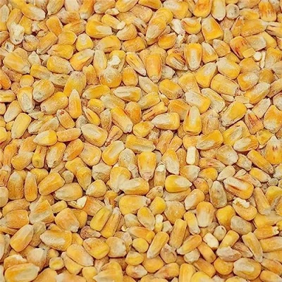Image of Copdock Mill Whole Maize Chicken Feed, 20kg Premium Quality Yellow 100% Natural High In Fat and Rich Energy Complementary Feed Suitable for Poultry, Doves, Pigeons, Water Game Birds