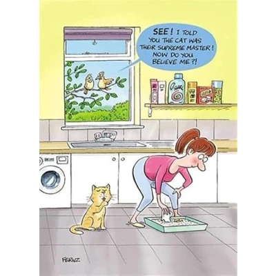 Image of Male/Female Birthday Card General Funny for Men/Women &#039;The Cat Is Their Supreme Master&#039; Cartoon Sketch Eco Friendly &amp; Recyclable Printed in the UK by Paper House