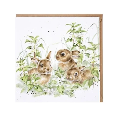 Image of Wrendale Designs by Hannah Dale In the Undergrowth&#039; leveret card