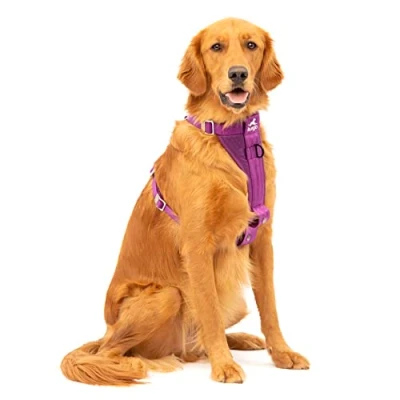 Image of Enhanced Strenght Tru Fit Smart Harness, Purple, Extra Large