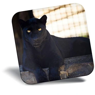 Image of Destination Vinyl ltd Fridge Magnet Black Panther Wild Big Cat 3113