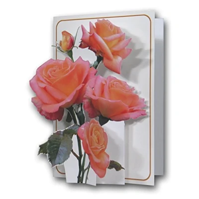 Image of The Pictoria Press Pink Roses a 3D Pop Up Greeting Card from