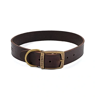 Image of ANCOL Latigo Flexible Stretchy Havana Collar Animal Pet Training Accessory 55 63 cm, Size 8