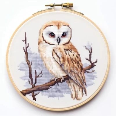 Image of Owl series1,owl Cross Stitch Kits, 14ct, 90x90 Stitch, 16x16cm,100% Cotton, Small Easy Counted kit