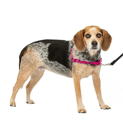 Image of PetSafe Easy Walk dog harness.