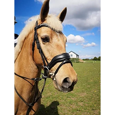 Image of Countrypride EQUIPRIDE ANATOMICAL BRIDLE ABRAM DIAMANTE BROWBAND WITH ANTI SLIP RUBBER REINS BLACK &amp; BROWN (Brown, Full)