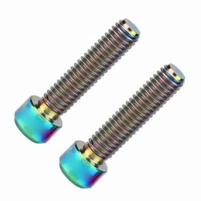 Image of Bnineteenteam 2Pcs Titanium Alloy Bicycle Disc Brake Caliper Screw Bolts M6 X 25mm Screws for Mountain Bike (Multicolor) and Spare Parts Ride