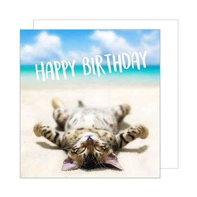 Image of Edition Seidel Premium Square Birthday Card with Envelope Greeting Happy For Him or Her Friend Mum Dad Sister Brother Colleague Kids Teens Cat Funny (GQ117)