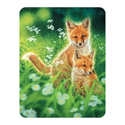 Image of 3D LiveLife Magnet Spring Foxes from Deluxebase. Lenticular Fox Fridge Magnet. Magnetic decor for kids and adults with artwork licensed renowned artist, Joh Naito