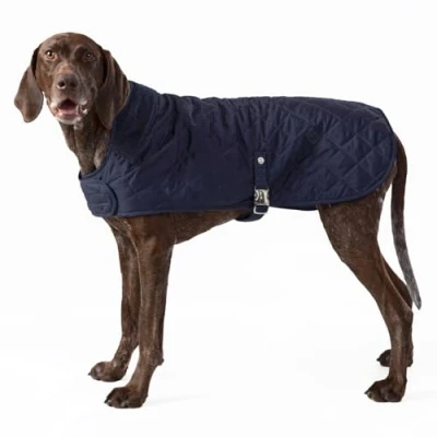 Image of HUGO &amp; HUDSON x HACKETT Quilted Dog Jacket Warm Winter Coat with Corduroy Collar, Navy S35