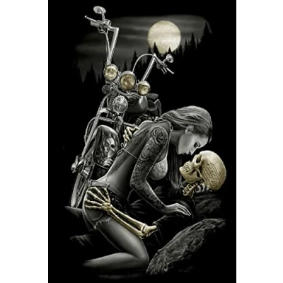Image of Puzzles for Adults 1500 Piece,Wooden Puzzles,Puzzle,Family Decoration (G10, piece)
