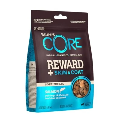 Image of Wellness CORE Reward+ Treats Salmon, Supports Healthy Skin &amp; Shiny Coat, Soft Grain Free Dog Treats, 170g