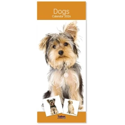 Image of 2025 Super Slim Month to View Spiral Bound Hanging Wall Calendar Home Office (Dogs)