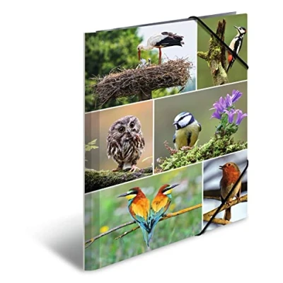 Image of HERMA Portfolio Folder A4 Birds, Children&#039;s Corner Made of Cardboard with Animal Motif, Elastic Band, Inner Flaps and Print for Boys Girls