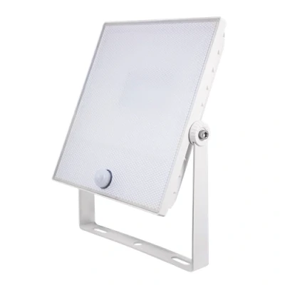 Image of ESP LED Security Light with Sensor 30W White