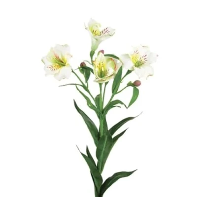 Image of Ferris Heart Sloane NEW Luxury Artificial Cream Alstroemeria Spray 72cm long, faux floral, floristry