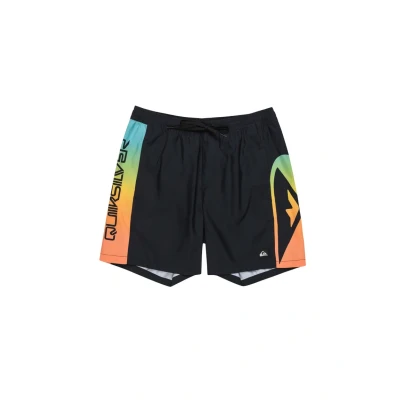 Image of Quiksilver Everyday Holmes 16 Swimming shorts, Men&#039;s, Size: XL, Multi coloured