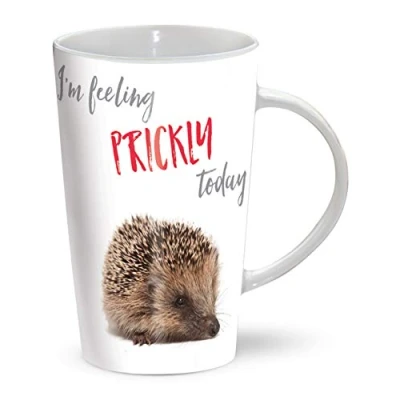 Image of Latte Mug Feeling Prickly