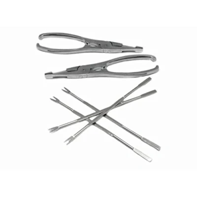 Image of Nerthus FIH 384 seafood tools set. Two crackers and four steel spikes set for
