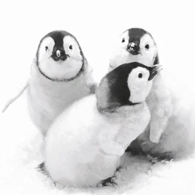 Image of 20 Napkins Penguin Friends Animals Winter Christmas Table Decoration 33 x cm