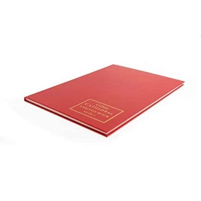 Image of Collins Debden Ltd 060734 69 Series Cathedral A4 Analysis Book 20 Cash Columns 96 Pages Red