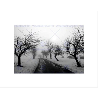 Image of Wee Blue Coo NATURE LANDSCAPE BLACK WHITE SNOW WINTER TREE FRAMED ART PRINT B12X4066