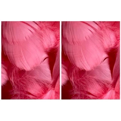 Image of Watermelon Feathers, 100 Pack (2 Pack)