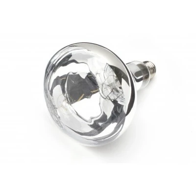 Image of 250w Animal Heat lamp ES Screw in Clear Infra Red