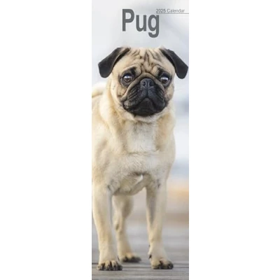 Image of Pug Slim 2025 Slimline Wall Calendar Dog Breed Calendar: Original Avonside Kalender [Mehrsprachig] [Kalender]