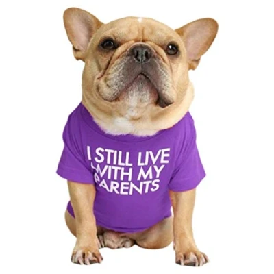 Image of Junhouse Bulldog Clothes Pet Clothing Puppy T shirt Spring Summer Soft Comfy Breathable Quick Dry Dog Outfit Pullover For Small Medium Large Dogs (2XL,Purple)