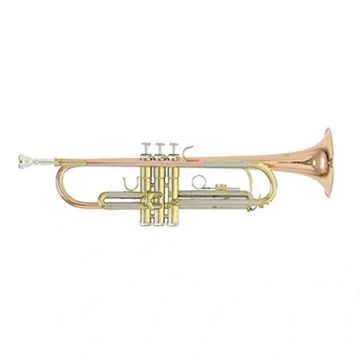 Image of Roy Benson Bb Trompete MOD.TR 202G goldmessing lackiert, inkl. Etui