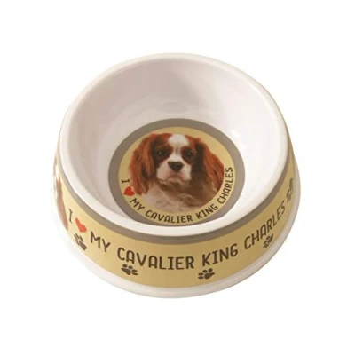 Image of Cavalier King Charles Pet Bowl Dog 20cm (Blenheim)