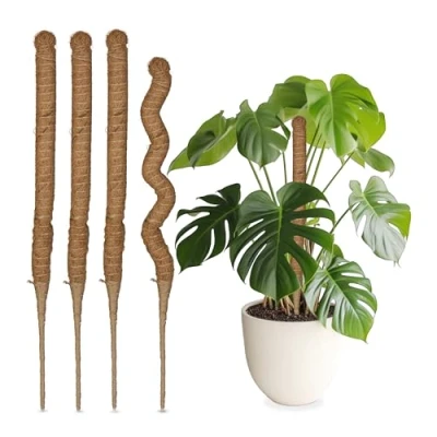 Image of Relaxdays Coconut Sticks in a Set of 5, Flexible Plant Rods, for Monstera, Ivy and more, 60 cm Long, Coir Fibre, Natural, Coco, x 3