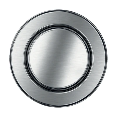 Image of Geberit Pneumatic Single Flush Button Brushed Chrome (115.114.FW.1)