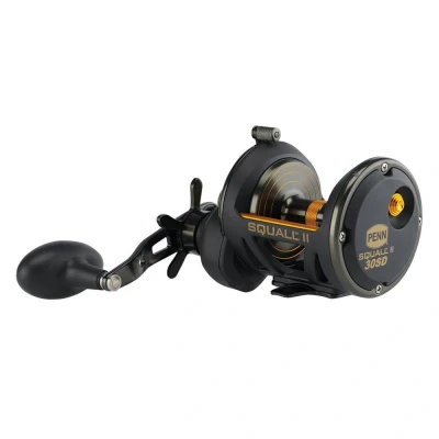 Image of Penn Squall® II Star Drag Zeevis Reel RH 30 SD