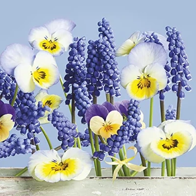 Image of DAISY 3 Ply Flowery Tissue Paper Napkins Serviettes for Decoupage Lunch 33cm x Pack of 20 (Blue Spring Story)