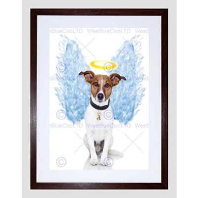 Image of Wee Blue Coo Angel Wings Jack Russell Dog Halo Art Picture Framed Wall Print