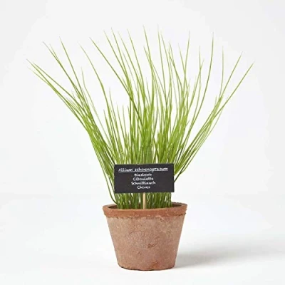 Image of HOMESCAPES Artificial Chives in Terracotta Pot Decorative Faux Herbs Potted Distressed Planter for Indoor Decoration, 28 cm Tall