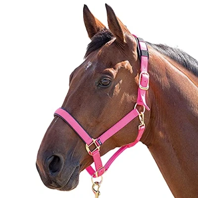 Image of Shires Topaz Nylon Pony/Horse Headcollar Pink XS Pony