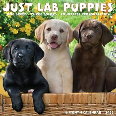Image of Lab Puppies 2025 Wall