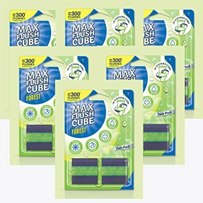 Image of 6x Max Flush Cube Forest In Cistern Toilet Cleaner (Twin Pack 2x 50g)