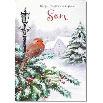 Image of doodlecards Son Christmas Card Robin by Lamp Medium Size with Plain Red Envelope, 21 x 15cm