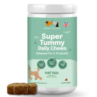 Image of Buddy &amp; Lola Probiotics For Dogs Daily Dog Probiotic Chews Digestive Health Beneficial Prebiotics, Fibre Better Gut, Firm Stools, Less itching Plant Based