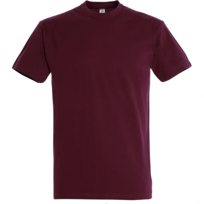 Image of Sols Imperial men&#039;s T shirt in Multicolour